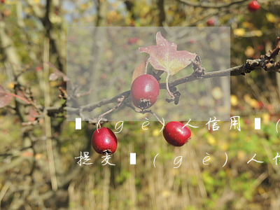 個(gè)人信用報(bào)告逾期說明（提交個(gè)人信用報(bào)告逾期申請(qǐng)表）