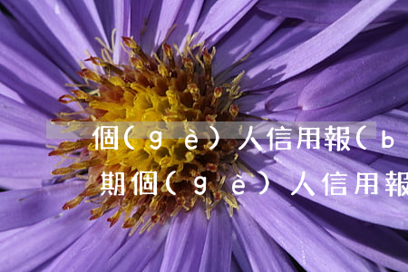 個(gè)人信用報(bào)告顯示有逾期(個(gè)人信用報(bào)告顯示有逾期但明細(xì)找不到)