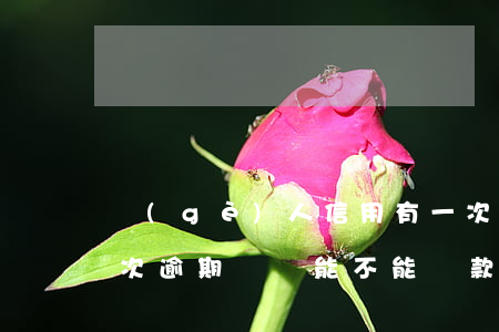 個(gè)人信用有一次房貸逾期(房貸有一次逾期記錄能不能貸款)