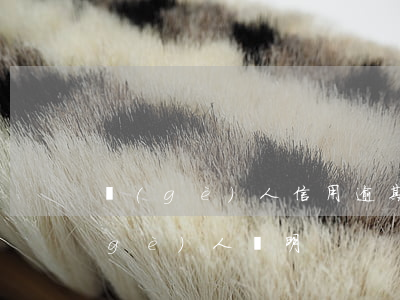 個(gè)人信用逾期保證書(信用逾期個(gè)人說明)