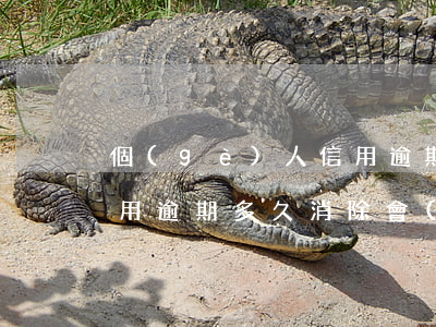 個(gè)人信用逾期消除(個(gè)人信用逾期多久消除,會(huì)有什么影響)