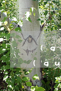 個(gè)人借條怎么寫范本圖片 打印(正規(guī)個(gè)人借款條怎么寫圖片)