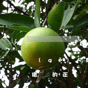 個(gè)人借條的正確寫法(個(gè)人借條的正確寫法樣本)
