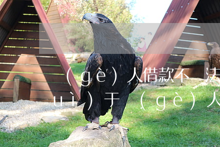 個(gè)人借款不還法律怎么處理(對(duì)于個(gè)人借錢不還的法院會(huì)有如何處理)
