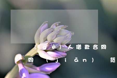 個(gè)人借款合同(個(gè)人借款合同簡(jiǎn)單范本)