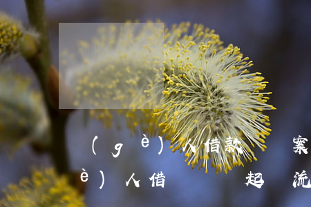 個(gè)人借款糾紛案件怎么處理(個(gè)人借貸糾紛起訴流程)