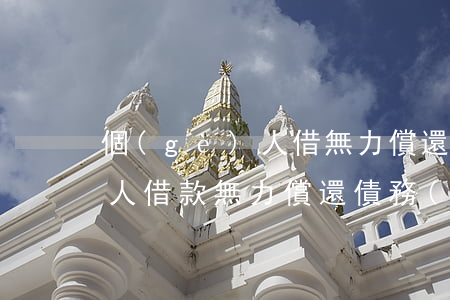 個(gè)人借無力償還怎么辦(個(gè)人借款無力償還債務(wù)新政策)