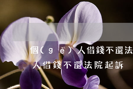 個(gè)人借錢不還法院起訴(個(gè)人借錢不還法院起訴)