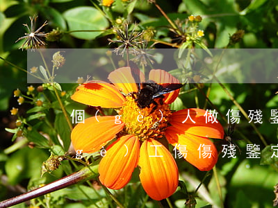 個(gè)人做傷殘鑒定需要多少錢(做個(gè)工傷傷殘鑒定要多少錢)