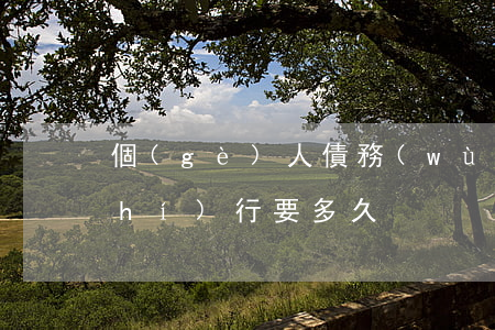 個(gè)人債務(wù)從起訴到執(zhí)行要多久