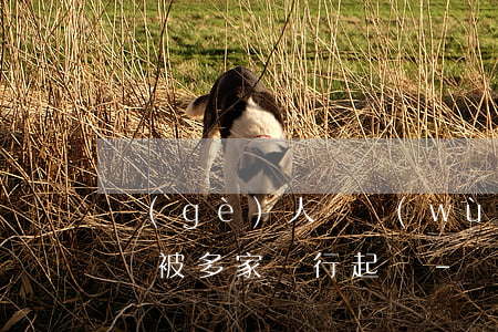 個(gè)人債務(wù)無(wú)力償還被多家銀行起訴-個(gè)人債務(wù)無(wú)力償還被多家銀行起訴怎么辦