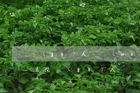 個(gè)人債務(wù)糾紛到哪里起訴(法院個(gè)人債務(wù)起訴流程)