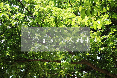 個(gè)人刑事起訴狀