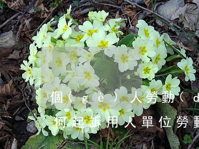 個(gè)人勞動(dòng)合同糾紛如何起訴(用人單位勞動(dòng)爭(zhēng)議起訴狀)