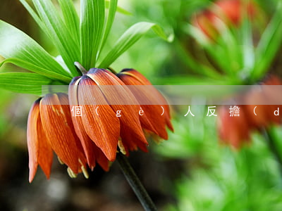 個(gè)人反擔(dān)保保證函