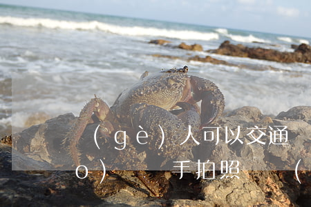 個(gè)人可以交通違法拍照舉報(bào)嗎(隨手拍照舉報(bào)交通違法app都舉報(bào)什么問題)