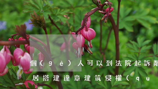 個(gè)人可以到法院起訴鄰居違建嗎(鄰居搭建違章建筑 侵權(quán)嗎)