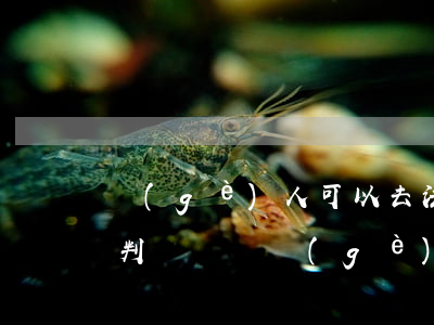 個(gè)人可以去法院復(fù)印家屬判決書嗎(個(gè)人可以去法院復(fù)印家屬判決書嗎)