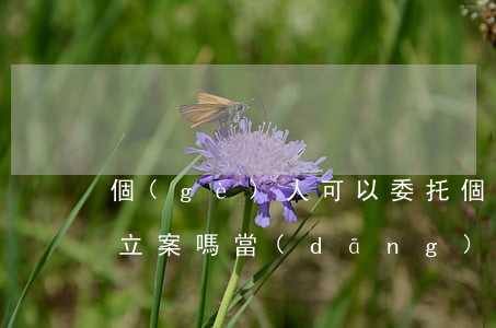 個(gè)人可以委托個(gè)人去法院立案嗎(當(dāng)事人可以委托他人起訴嗎)