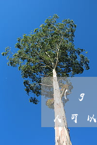 個(gè)人可以委托朋友訴訟嗎(起訴委托人可以是朋友嗎)