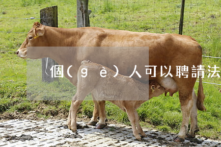 個(gè)人可以聘請法律顧問嗎