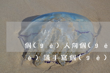 個(gè)人向個(gè)人借款協(xié)議手寫(個(gè)人手寫借條格式范本)