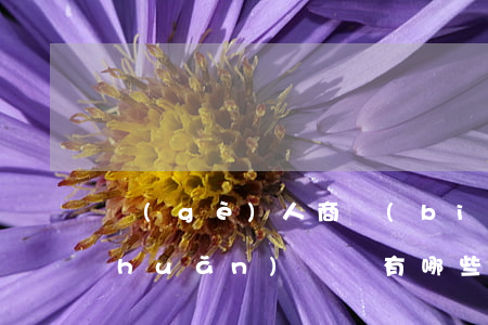 個(gè)人商標(biāo)可以轉(zhuǎn)讓嗎有哪些流程（個(gè)人轉(zhuǎn)讓人和個(gè)人受讓人應(yīng)提交的文件）