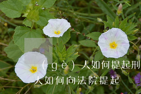 個(gè)人如何提起刑事訴訟(個(gè)人如何向法院提起訴訟)