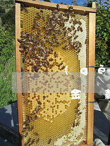 個(gè)人如何申請(qǐng)住房公積金貸款（申請(qǐng)住房公積金貸款的條件）