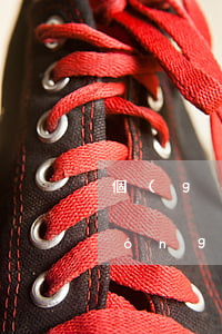 個(gè)人如何申請(qǐng)農(nóng)業(yè)貸款(創(chuàng)業(yè)貸款)