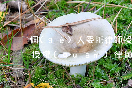 個(gè)人委托律師授權(quán)書(授權(quán)律師委托書怎么寫)