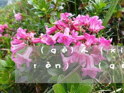 個(gè)人寫(xiě)借條法律承認(rèn)嗎(個(gè)人借款的借條有法律)