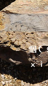 個(gè)人寫(xiě)檢舉信怎么寫(xiě)