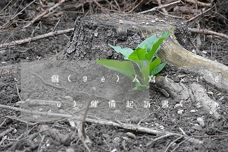 個(gè)人寫(xiě)的催告書(shū)(催債起訴書(shū)怎么寫(xiě))