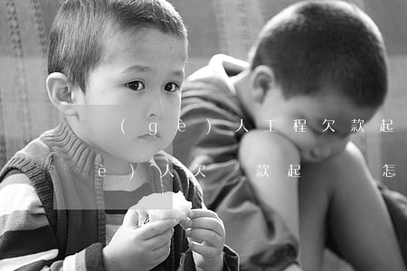 個(gè)人工程欠款起訴狀怎么寫(個(gè)人欠貨款起訴書怎么寫)
