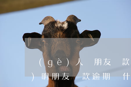 個(gè)人幫朋友貸款逾期說(shuō)明(朋友貸款逾期為什么會(huì)找到我啊?)