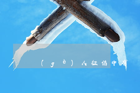 個(gè)人征信中有貸款逾期的
