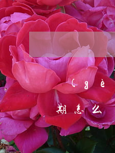 個(gè)人征信信用卡年費(fèi)逾期怎么辦-個(gè)人征信信用卡年費(fèi)逾期怎么辦理