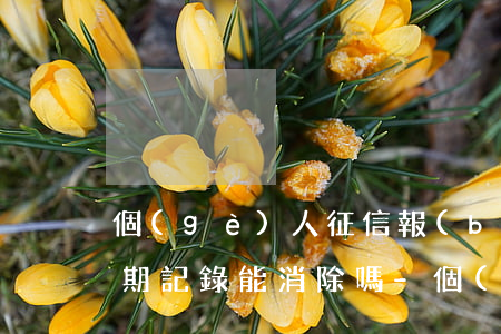 個(gè)人征信報(bào)告信用卡逾期記錄能消除嗎?-個(gè)人征信報(bào)告信用卡逾期記錄能消除嗎