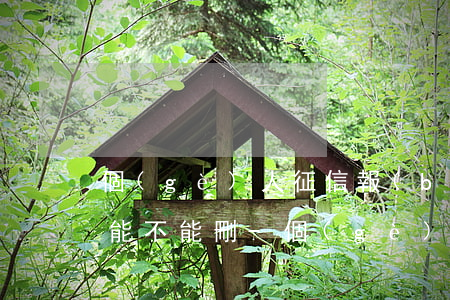 個(gè)人征信報(bào)告逾期一次能不能刪-個(gè)人征信報(bào)告逾期一次能不能刪除
