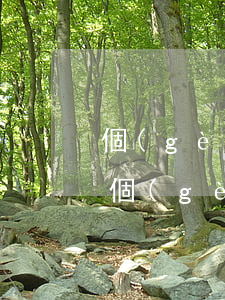 個(gè)人征信報(bào)告逾期解讀(個(gè)人征信報(bào)告有一個(gè)逾期)