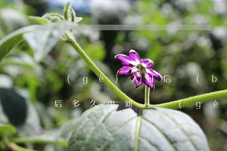 個(gè)人征信報(bào)告逾期還款后多久更新-個(gè)人征信報(bào)告逾期還款后多久更新信息