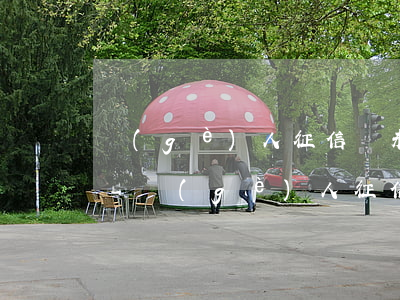 個(gè)人征信從未逾期過的賬戶啥意思-個(gè)人征信從未逾期過的賬戶啥意思啊