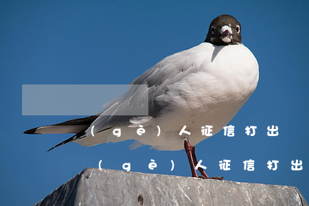 個(gè)人征信打出來十幾張沒有逾期-個(gè)人征信打出來十幾張沒有逾期記錄