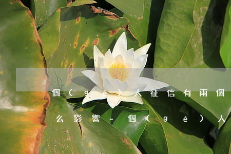 個(gè)人征信有兩個(gè)逾期有什么影響-個(gè)人征信有兩個(gè)逾期有什么影響嗎