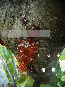 個(gè)人征信有過逾期申請(qǐng)信用卡(個(gè)人征信有過逾期申請(qǐng)信用卡)