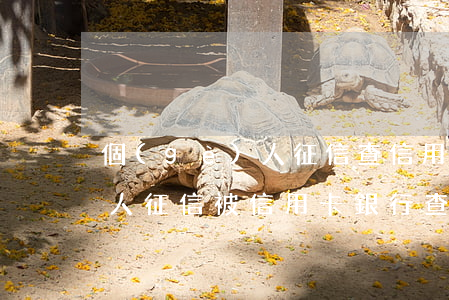 個(gè)人征信查信用卡逾期 個(gè)人征信被信用卡銀行查多次但是從未逾期