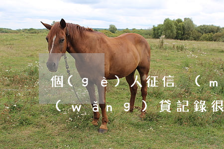 個(gè)人征信沒(méi)有逾期但網(wǎng)貸記錄很多,會(huì)影響入職嗎（個(gè)人征信逾期會(huì)影響入職嗎）