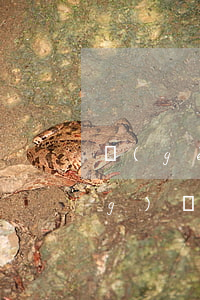 個(gè)人征信記錄多久消除 網(wǎng)貸申請(qǐng)記錄太多如何消除