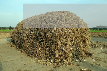 個(gè)人征信賬戶逾期多久可以查不到-個(gè)人征信賬戶逾期多久可以查不到記錄